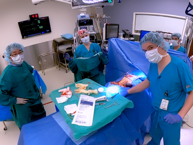 MaiaZura\u0020\u0026\u00238211\u003B\u0020Reality\u002DBased\u0020Training\u0020Program\u0020for\u0020Healthcare